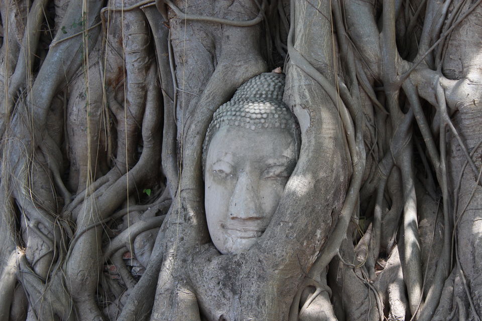 Photo of Buddham Sharanam Gachchami... A Spiritual trip to Ayutthaya... 8/17 by Thehumrahis
