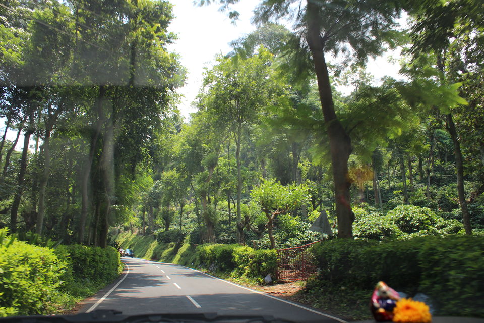 Photo of Yercaud, Tamil Nadu, India by Koushik Dhar