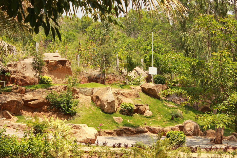 Photo of Pyramid Valley - Meditation Center in Bangalore by Koushik Dhar