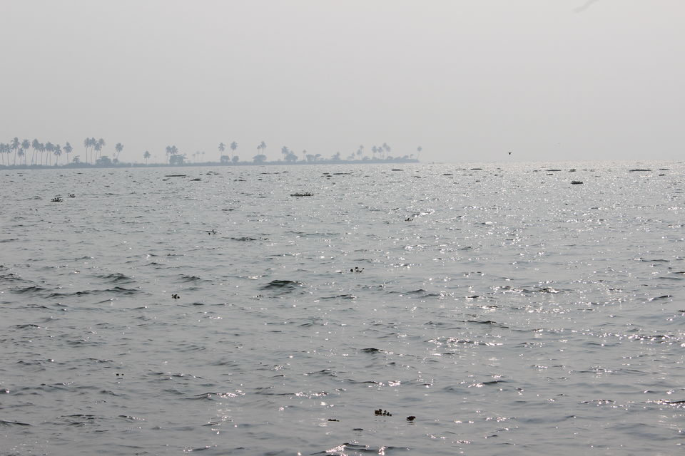 Photo of Kumarakom - The Back Water Beauty of Kerala by Koushik Dhar
