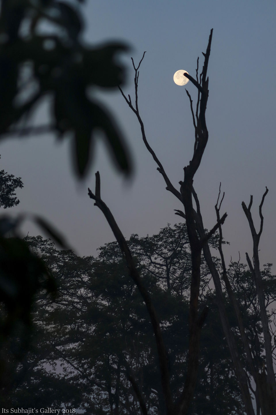 Photo of Buxa Fort, Buxa Hill Forest, West Bengal, India by Suvhojit Khan
