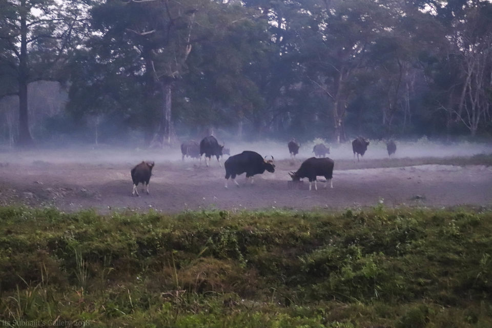 Photo of Buxa Fort, Buxa Hill Forest, West Bengal, India by Suvhojit Khan
