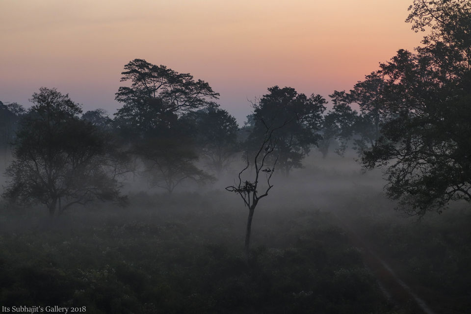 Photo of Buxa Fort, Buxa Hill Forest, West Bengal, India by Suvhojit Khan