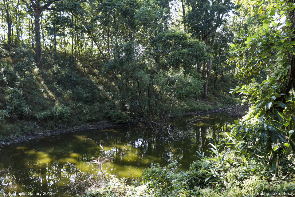 Photo of Buxa Tiger Reserve, Buxa, West Bengal, India by Suvhojit Khan