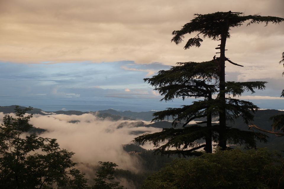 Photo of North India love by asif tanwer
