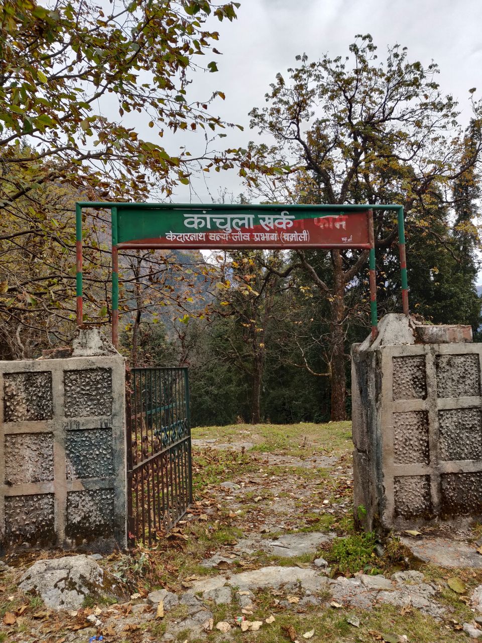 Photo of Birding trip to Chopta by Shweta Chavda