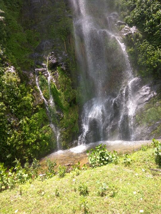 Photo of Deoria Tal, Deoria Tal, Uttarakhand 246469 by Samridhi Sukhani
