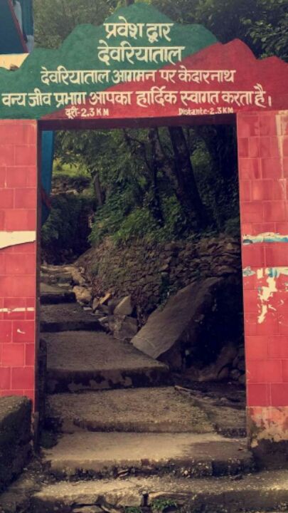 Photo of Chandrashila Trek : A trip to Paradise by Samridhi Sukhani