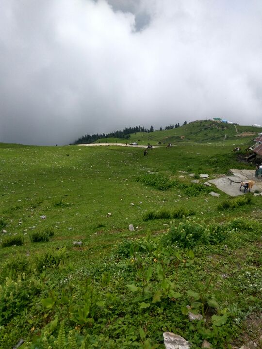 Photo of Chandrashila, Chandrashila, Tungnath, Uttarakhand 246419 by Samridhi Sukhani