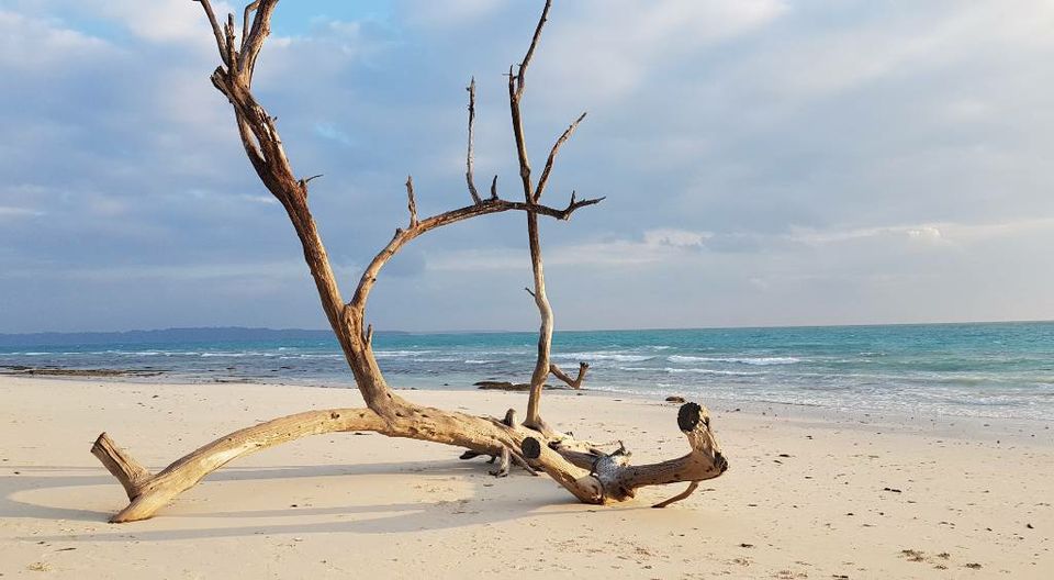 Photo of Havelock Island, Andaman and Nicobar Islands by Kristil Ane