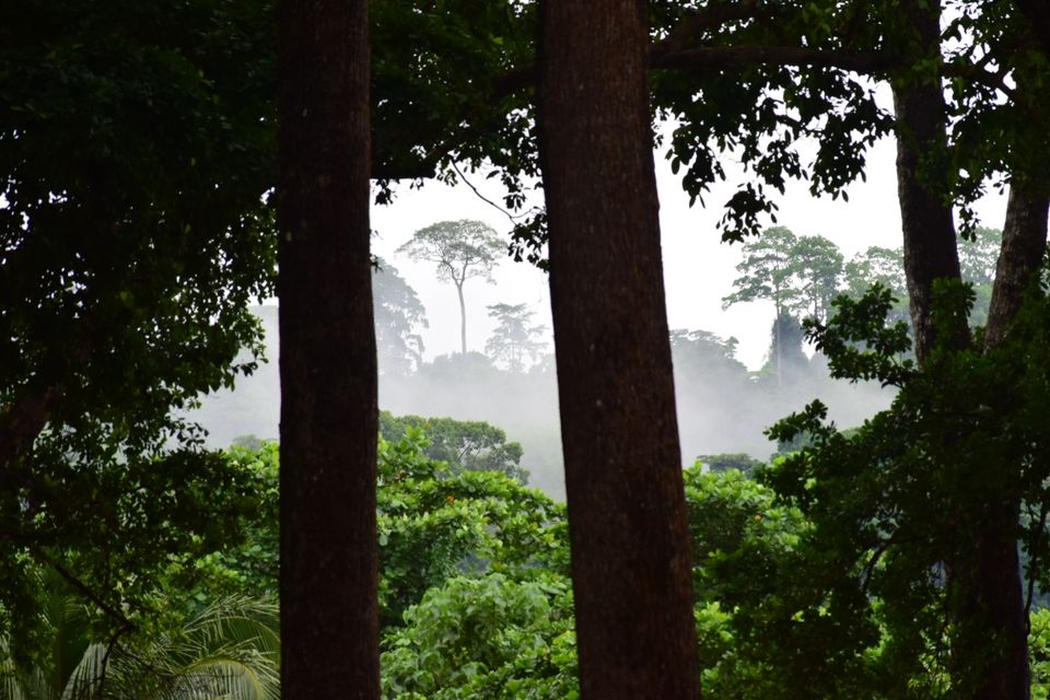 Photo of Havelock Island, Andaman and Nicobar Islands by Kristil Ane