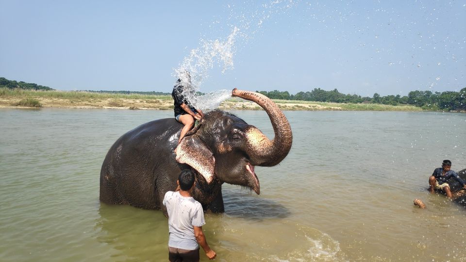 Photo of Sanauli by Neelam Sarda
