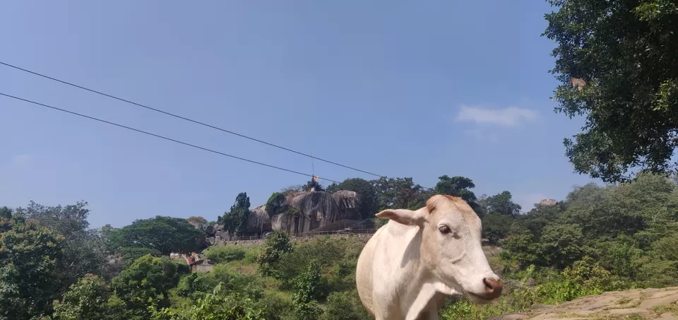 Photo of Sirsi - sirsi ri bhaal sakkath ithri by Nishanth Ramesh