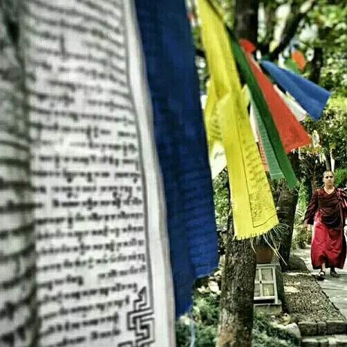 Photo of Norbulingka Institute, Sidhpur, Himachal Pradesh, India by Kavita Sood