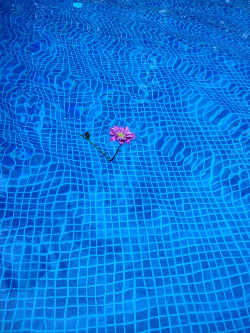 Photo of Bouganvillea Boutique Beach House, Nagaon Bandar Road, Nagaon, Maharashtra, India by Vanessa Vaz