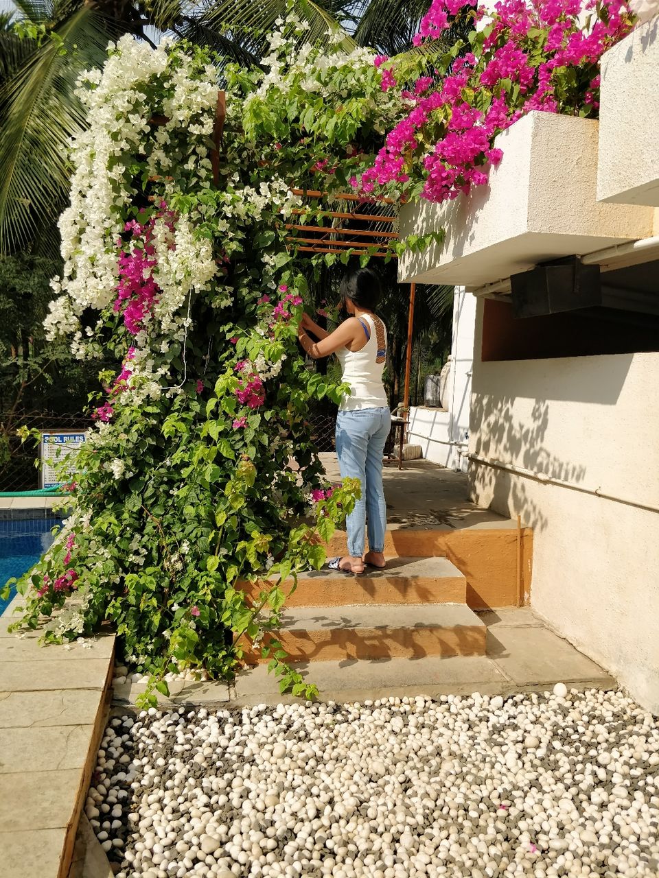 Photo of Bouganvillea Boutique Beach House, Nagaon Bandar Road, Nagaon, Maharashtra, India by Vanessa Vaz