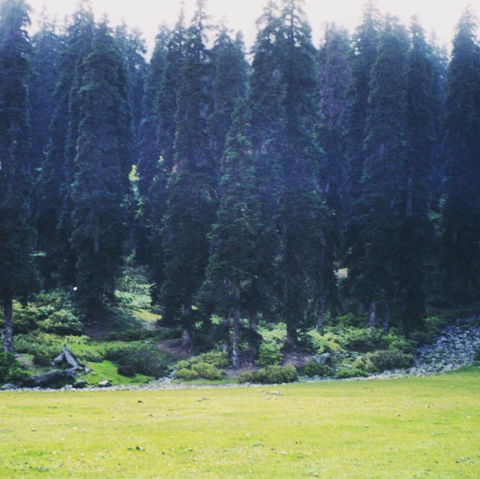 Photo of Kashmir - A trip to Heaven 3/8 by koutilya