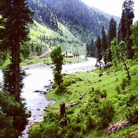 Photo of Kashmir - A trip to Heaven 5/8 by koutilya