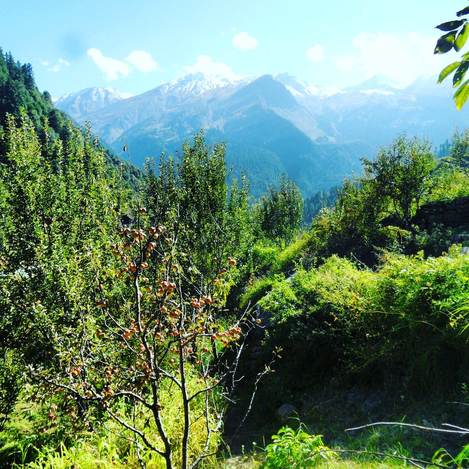 Photo of Picturesque & Pristine Parvati Valley by koutilya