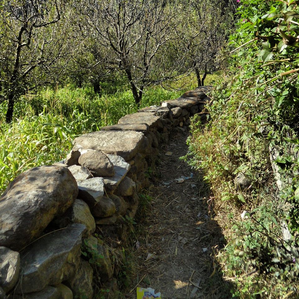 Photo of Picturesque & Pristine Parvati Valley by koutilya