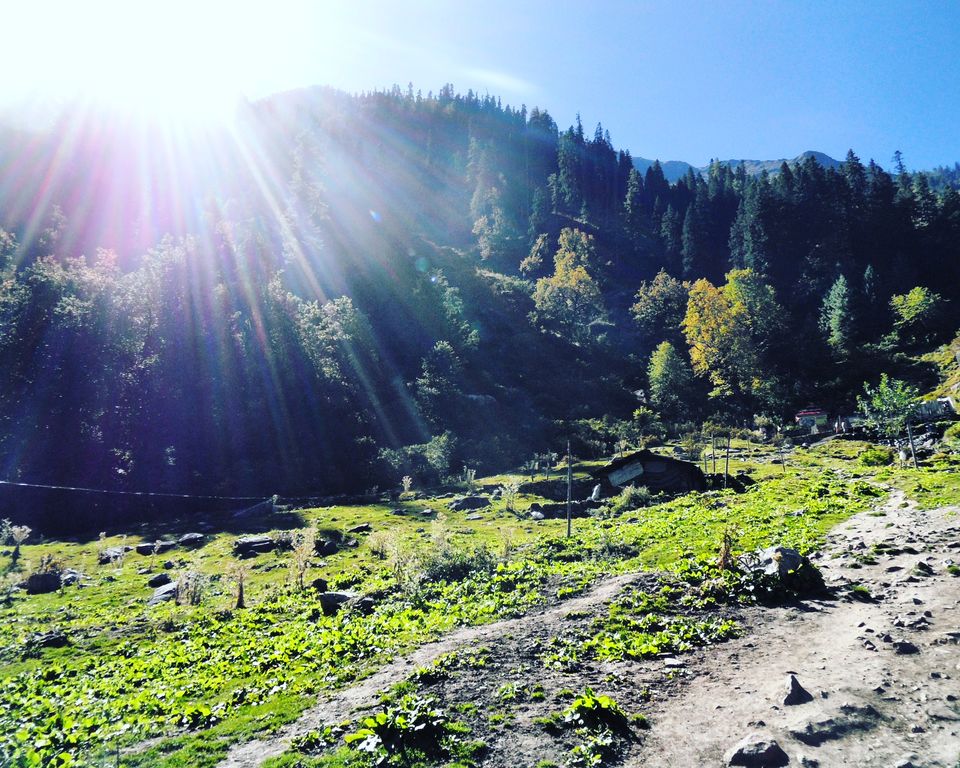 Photo of Picturesque & Pristine Parvati Valley by koutilya