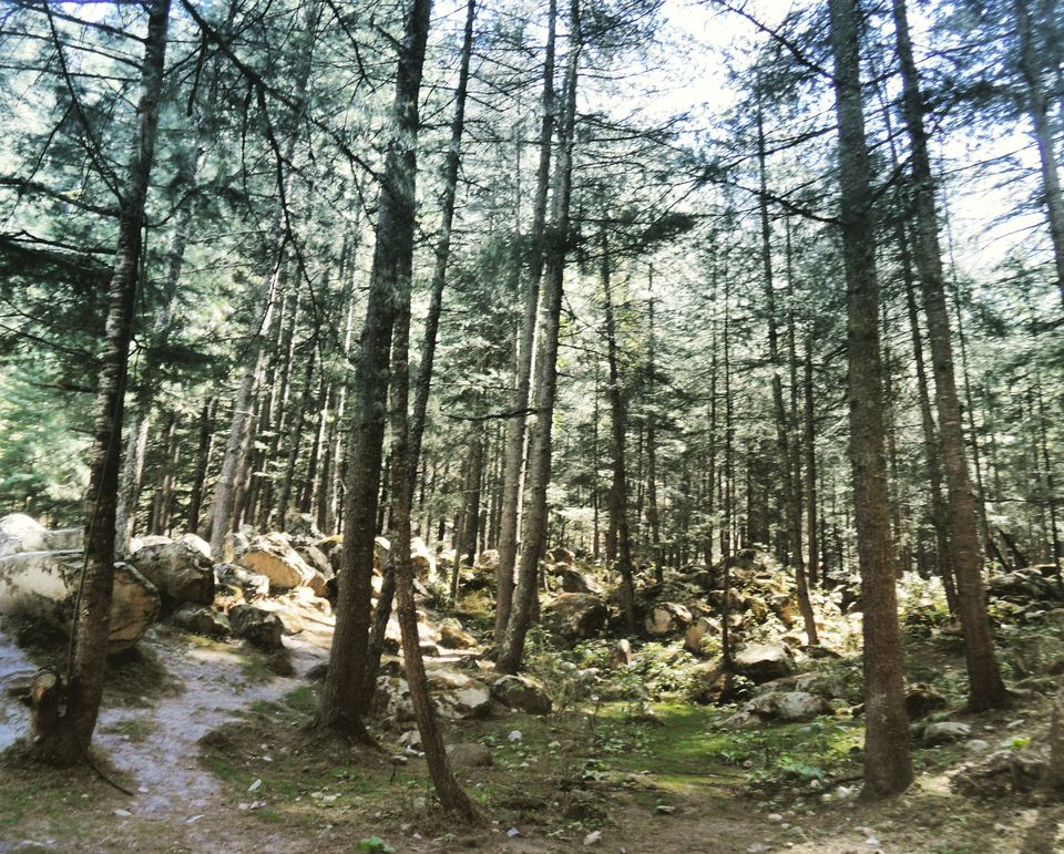 Photo of Picturesque & Pristine Parvati Valley by koutilya