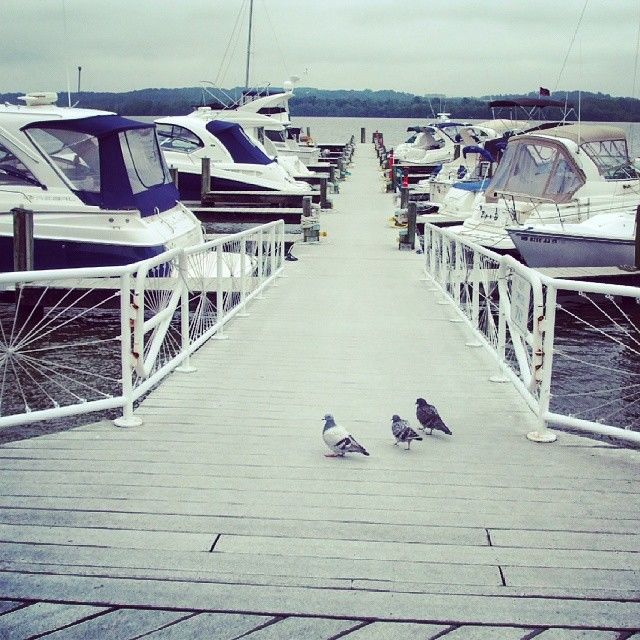 Photo of A dream trip.... Backpack USA!! #travelguideUSA by koutilya