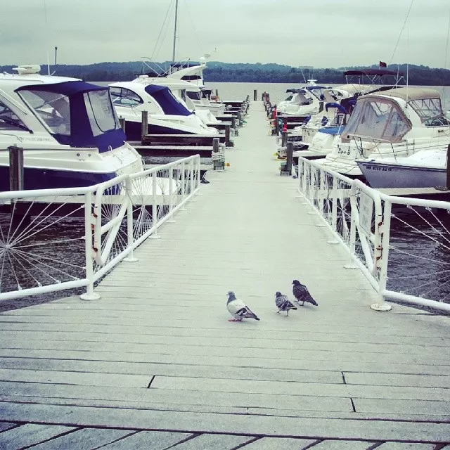 Photo of Washington, DC, United States by koutilya