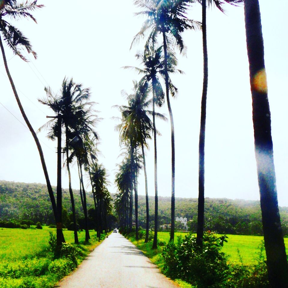 Photo of Goa...Fun Unlimited!! 2/14 by koutilya