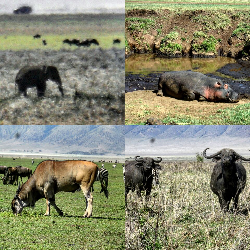 Photo of Ngorongoro Crater, Ngorongoro, Arusha Region, Tanzania by TheWandererKC