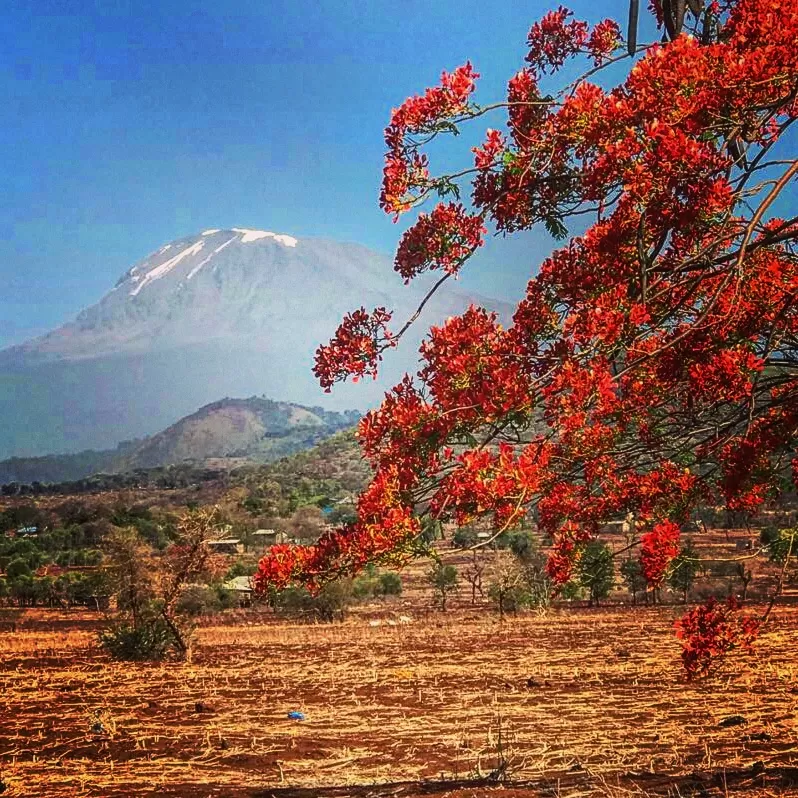 Photo of Kilimanjaro Region, Tanzania by koutilya