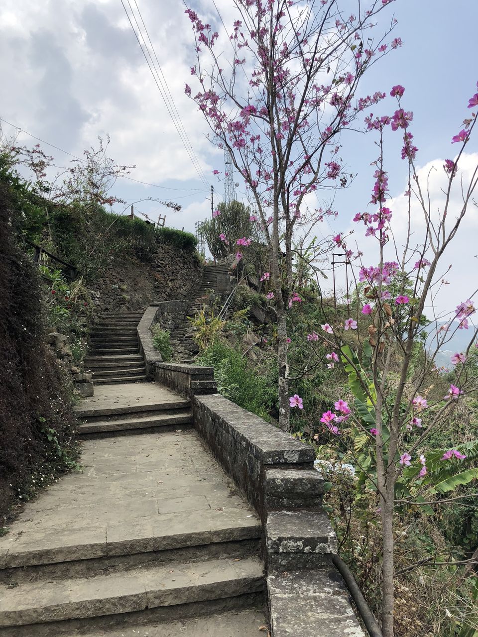 Photo of Nagaland 3/10 by Chandni Sharma