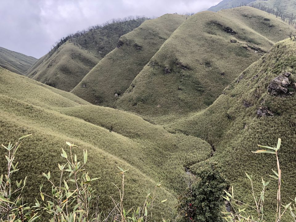 Photo of Nagaland 4/10 by Chandni Sharma