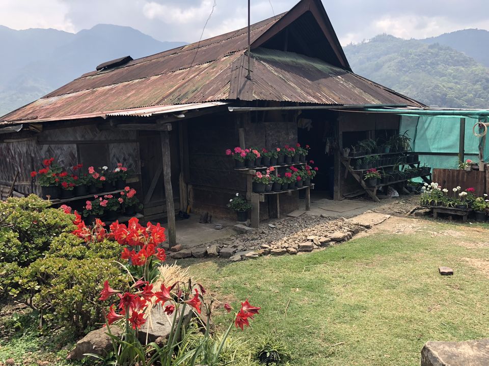 Photo of Nagaland 6/10 by Chandni Sharma