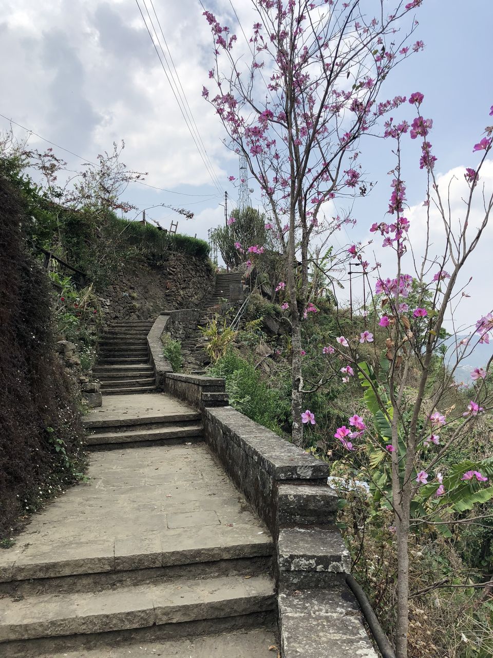Photo of Nagaland 7/10 by Chandni Sharma