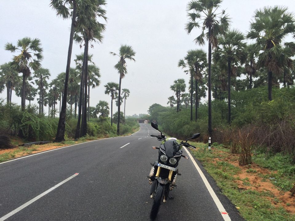 Photo of East to West Coastal Bike Trail 30/118 by Jesudas Antonyraj(MilesToGoo)