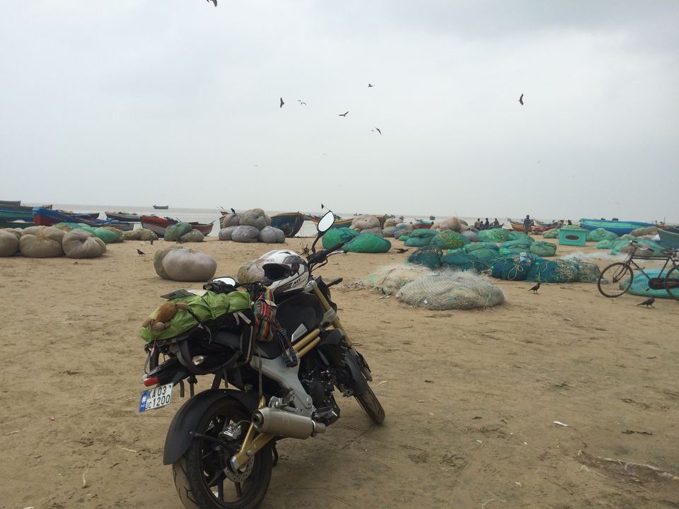 Photo of East to West Coastal Bike Trail 46/118 by Jesudas Antonyraj(MilesToGoo)