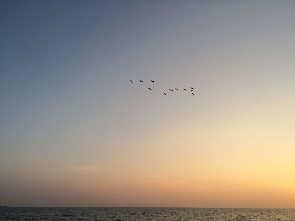 Photo of East to West Coastal Bike Trail 66/118 by Jesudas Antonyraj(MilesToGoo)