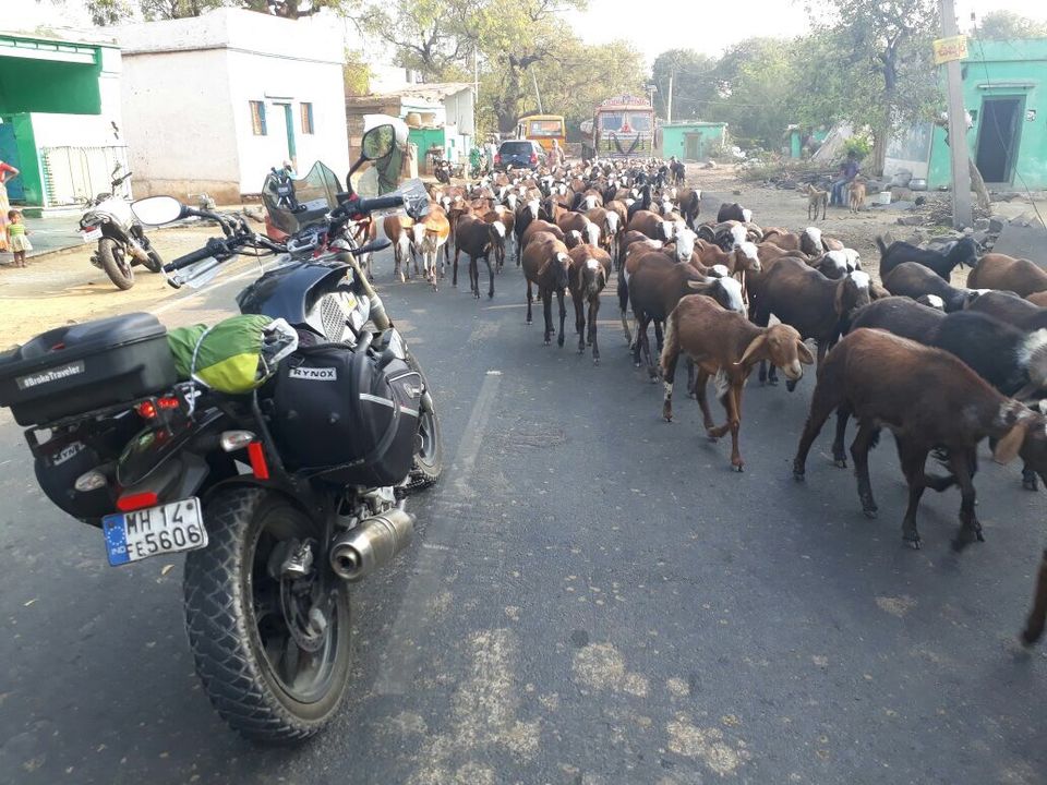 Photo of Roadtrip to Belum caves and Gandikota (grand canyon of India) with #mojotribe 20/28 by Jesudas Antonyraj(MilesToGoo)