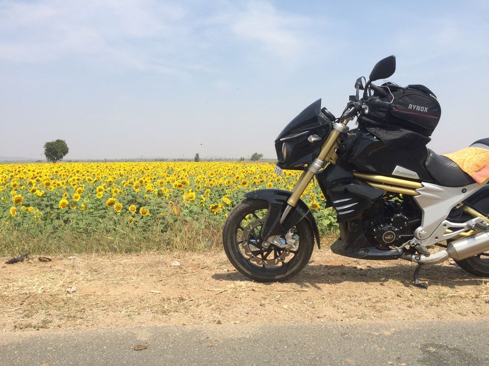 Photo of Roadtrip to Belum caves and Gandikota (grand canyon of India) with #mojotribe 21/28 by Jesudas Antonyraj(MilesToGoo)