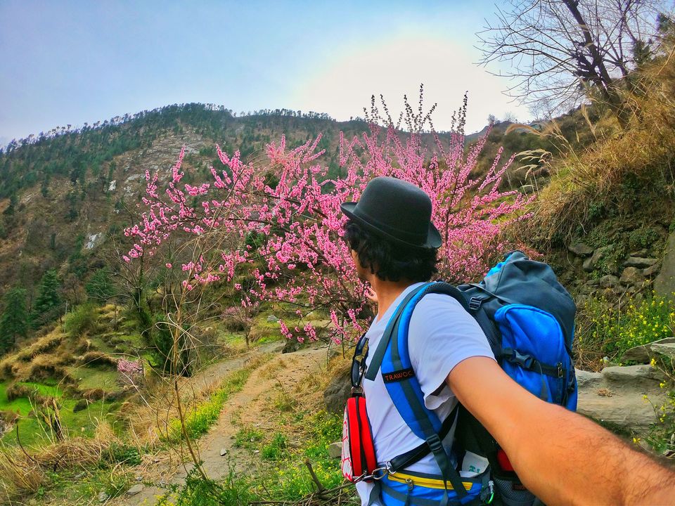 Photo of Trek to Secret Village Rasol by Akash Mohan