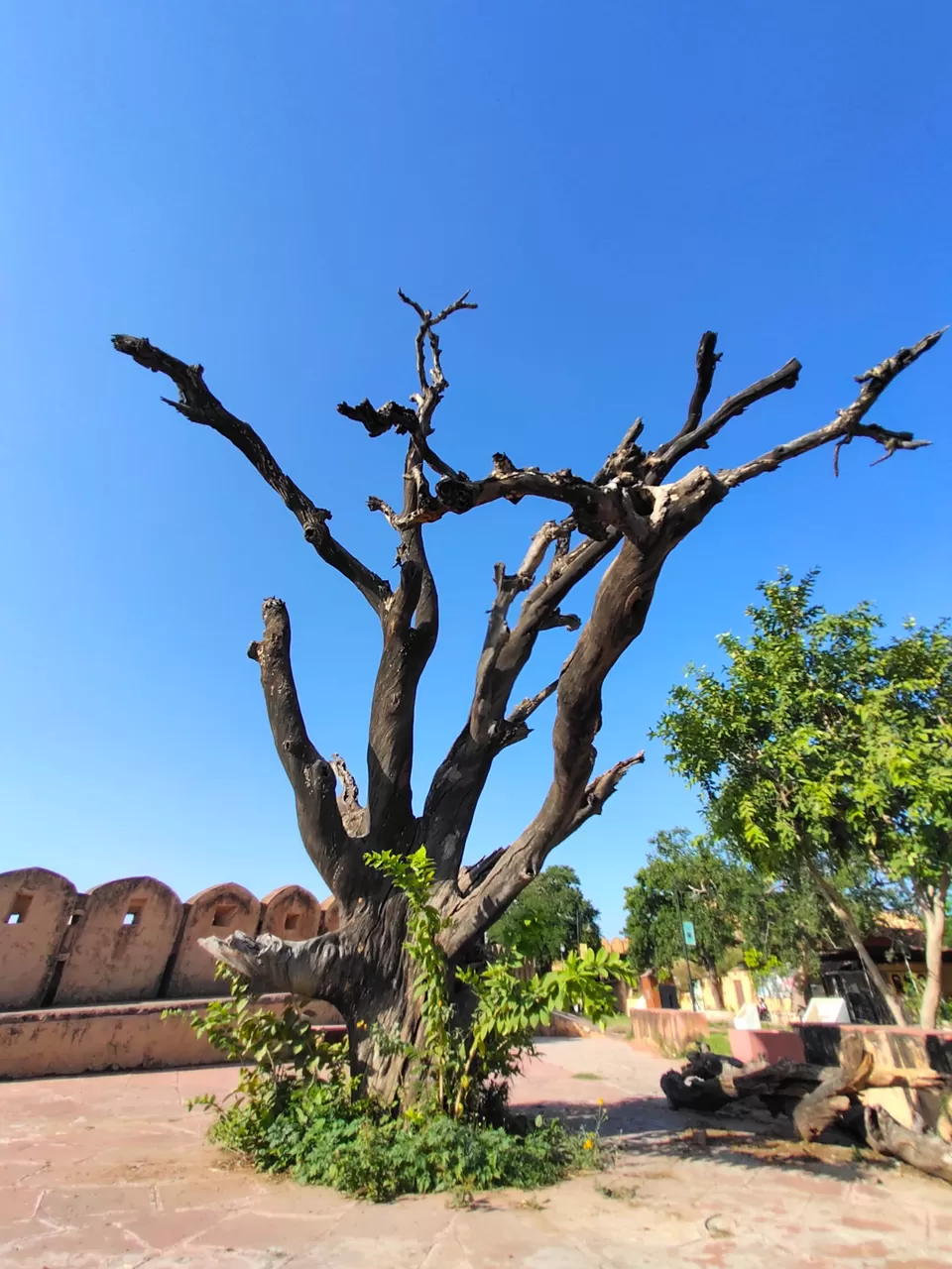 Photo of Nahargarh Fort by Shrya Bomzan Tamang