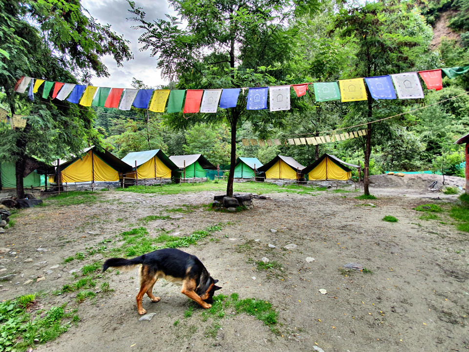 Photo of Bhrigu Lake’19 by Shobita Negi