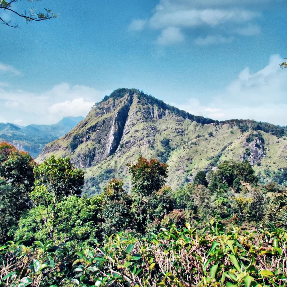 Photo of Little Adam's Peak, Sri Lanka by Shobita Negi