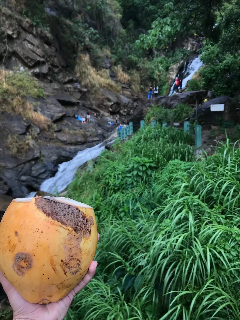 Photo of Ravana Falls., A23, Sri Lanka by Shobita Negi