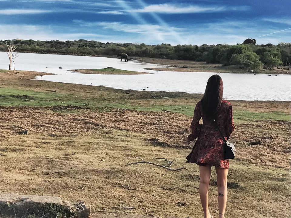 Photo of Cinnamon Wild Yala - chargenet, Main Entrance Road, Palatupana, Sri Lanka by Shobita Negi