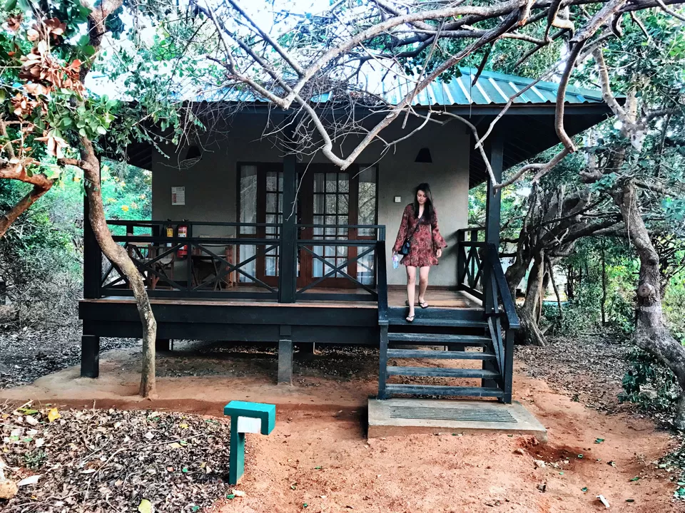 Photo of Cinnamon Wild Yala - chargenet, Main Entrance Road, Palatupana, Sri Lanka by Shobita Negi