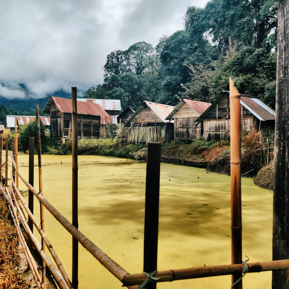 Photo of Ziro Festival of Music | In a far away land there lies art in the heart of Arunachal Pradesh by Shobita Negi