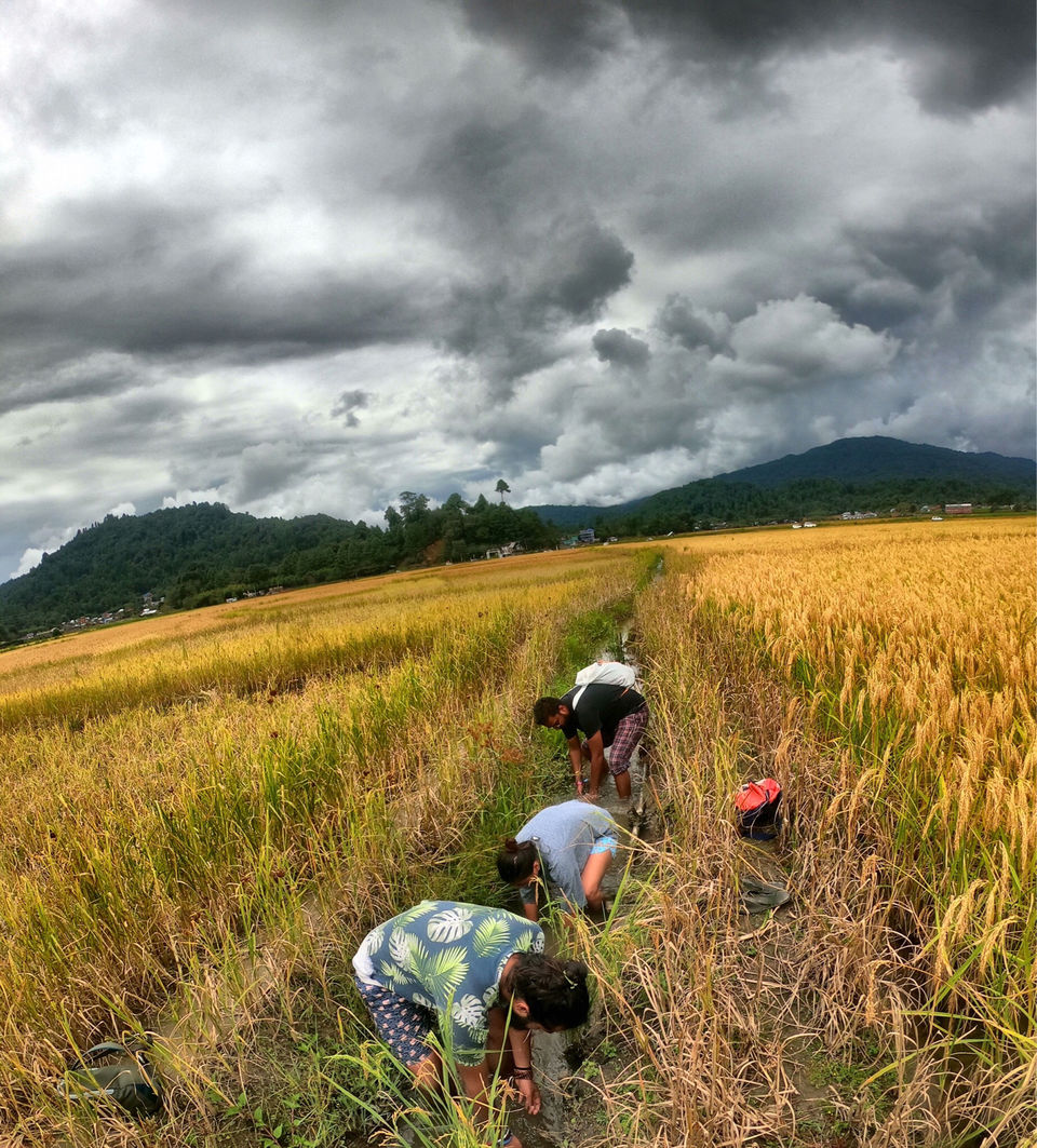 Photo of Ziro Festival of Music | In a far away land there lies art in the heart of Arunachal Pradesh by Shobita Negi