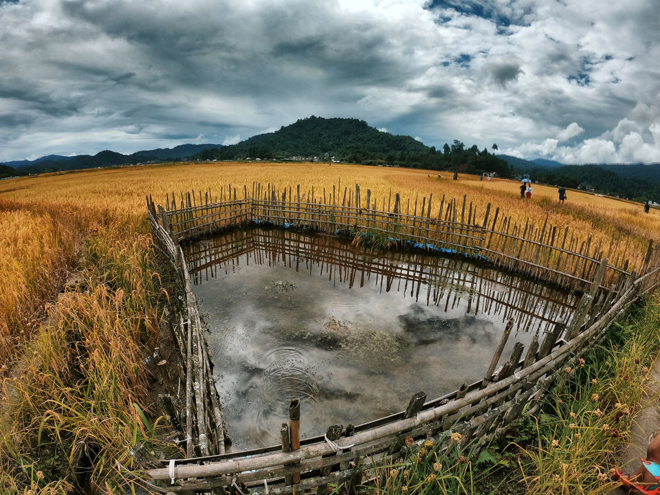 Photo of Ziro Festival of Music | In a far away land there lies art in the heart of Arunachal Pradesh by Shobita Negi